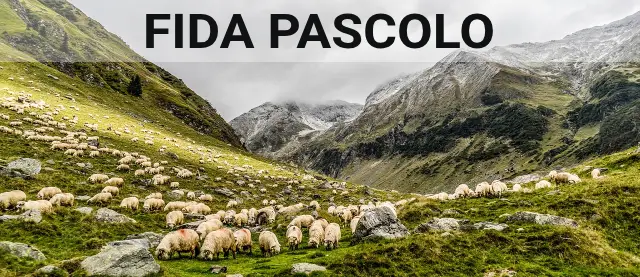 Fida Pascolo